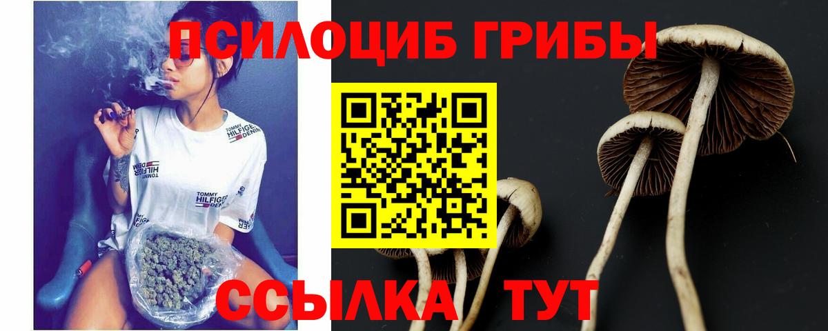 Псилоцибиновые грибы ЛСД Кашира